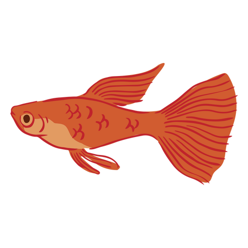 Golden fish swimming semi flat