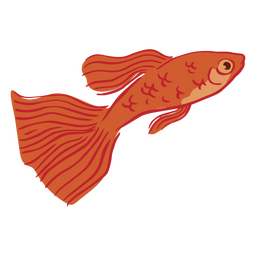 Peixe dourado nadando semi plano Desenho PNG