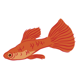 Peixe dourado semi plano Desenho PNG