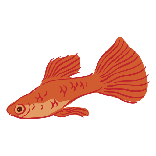 Gold fish semi flat PNG Design