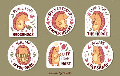 Conjunto de insignias lindas de animales de erizo feliz