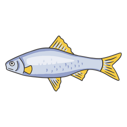 Gray fish color stroke PNG Design