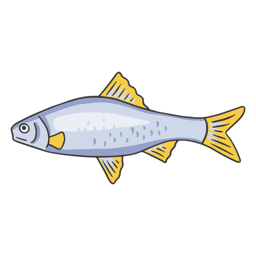 Grauer Fischfarbstrich PNG-Design
