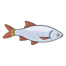 Orange and gray fish color stroke PNG Design Transparent PNG