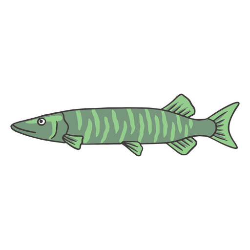 Langer grüner Fischfarbstrich PNG-Design