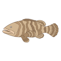 Brown fish illustration PNG Design Transparent PNG