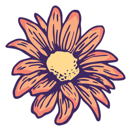 Orange daisy design color stroke PNG Design