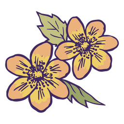 Cute orange flowers color stroke PNG Design