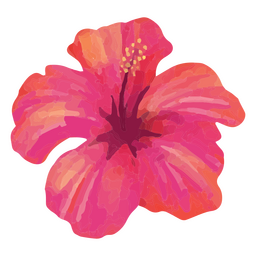 Floral hibiscus watercolor  PNG Design