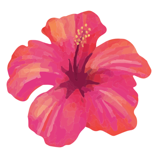 hibiscus watercolor