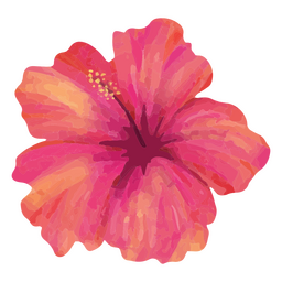 Floral pink hibiscus watercolor PNG Design Transparent PNG