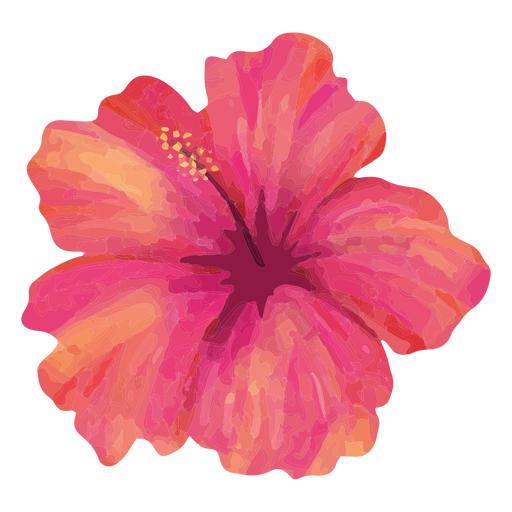 Floral pink hibiscus watercolor