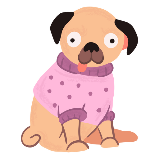 Cute pug with sweater 
