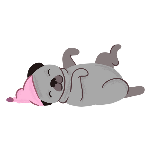 Cute pug sleeping belly up