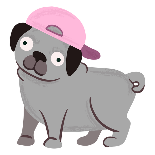 Pug fofo com chapéu Desenho PNG