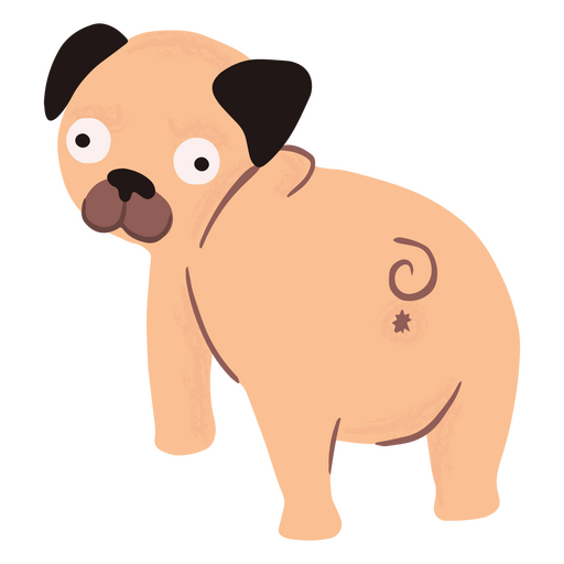 Pug bonito por trás Desenho PNG