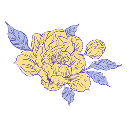 Icono de belleza de planta de flor Transparent PNG