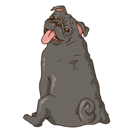 Ilustração de Pug sentado Desenho PNG