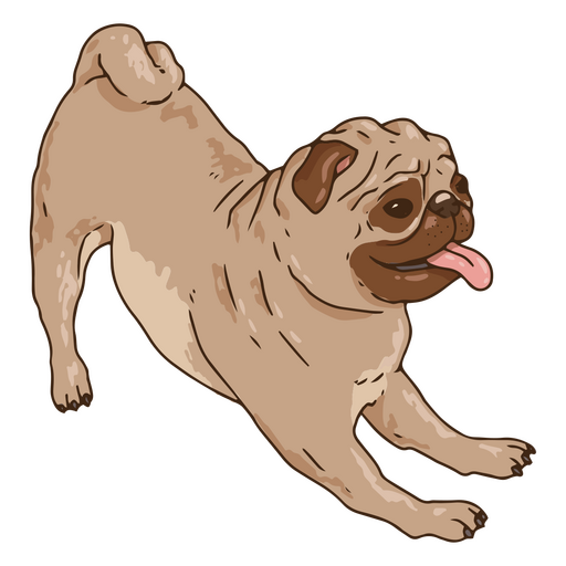 Ilustração de pug fofa Desenho PNG