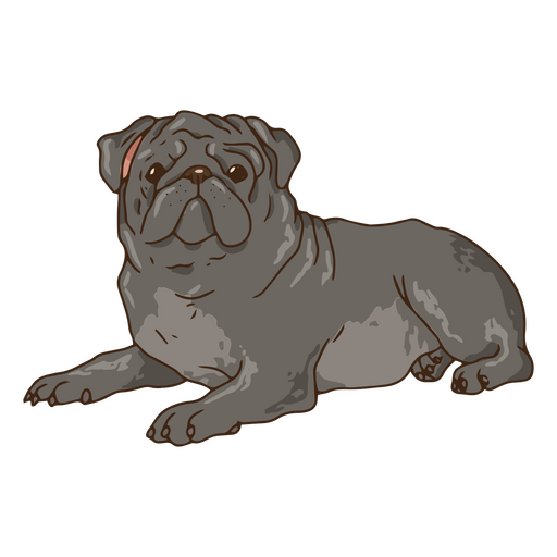 Ilustração de pug descansando Desenho PNG