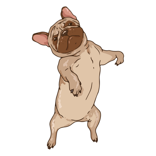 Pug illustration standing