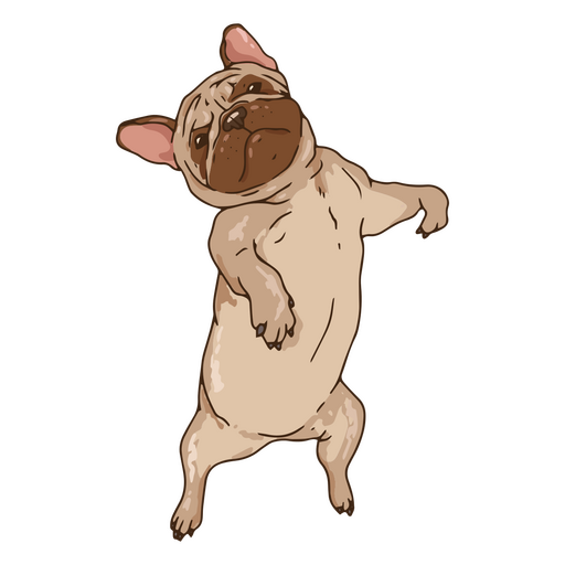 Pug illustration standing PNG Design