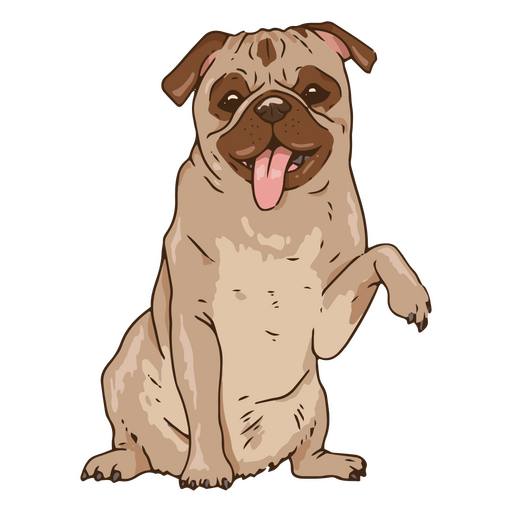 Ilustração de Pug brincalhão Desenho PNG