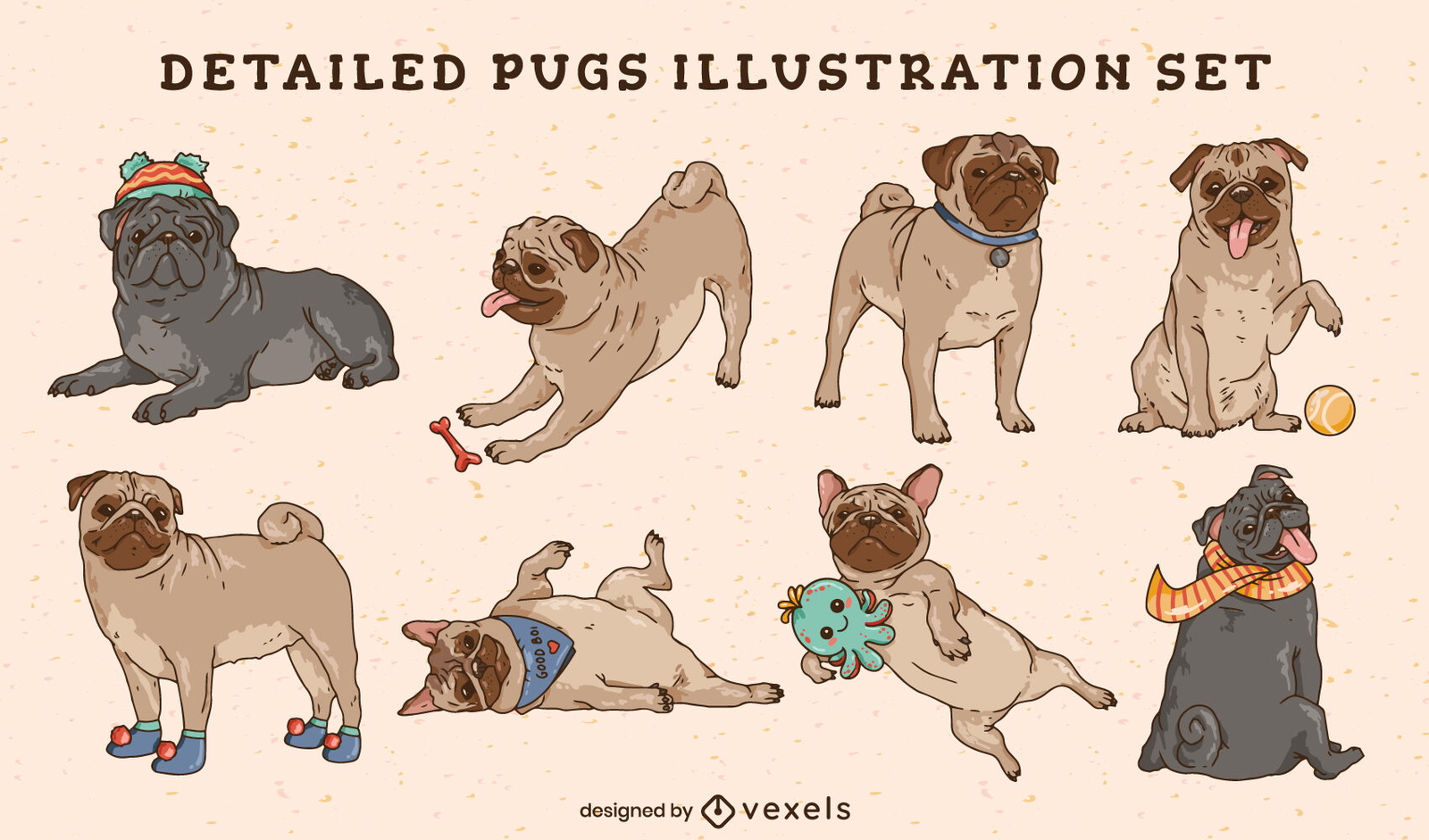 Conjunto de ilustração de animais de estimação de cães pug