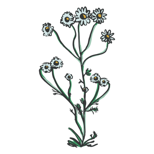 Himmelblaue Blumen handgezeichnet PNG-Design