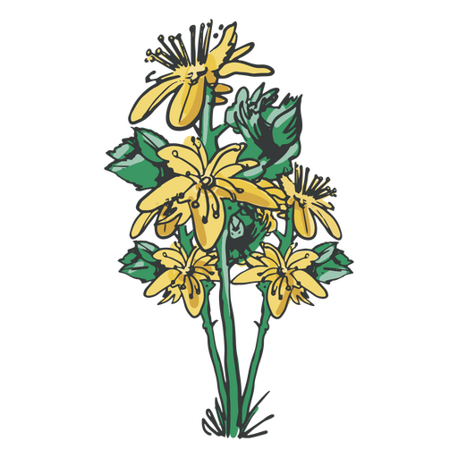 Yellow flowers hand drawn PNG Design