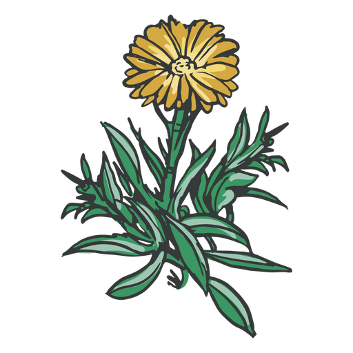 Flor amarela desenhada à mão Desenho PNG