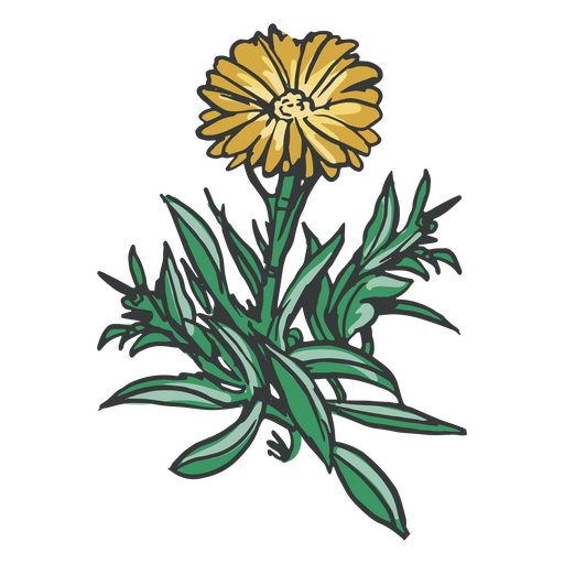 Gelbe Blumenhand gezeichnet PNG-Design
