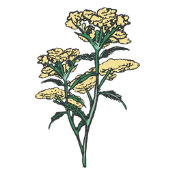 Yellow delicate flowers hand drawn PNG Design
