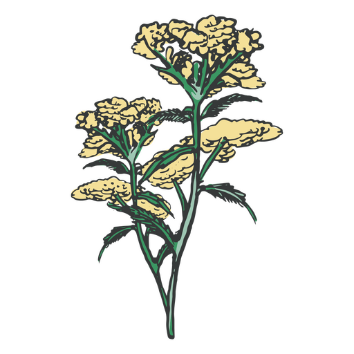 Gelbe zarte Blumen handgezeichnet PNG-Design