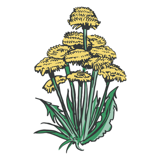 Yellow flowers hand drawn nature PNG Design