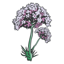 Herbs hand drawn violet PNG Design Transparent PNG