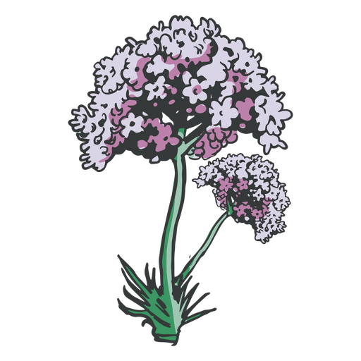 Herbs hand drawn violet PNG Design