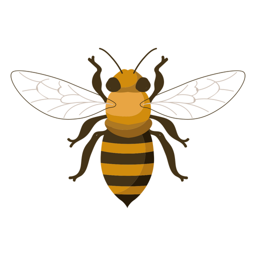 Diseño PNG Y SVG De Abeja Con Las Alas Extendidas Para Camisetas