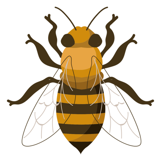 Honey Bee ícone da natureza Desenho PNG