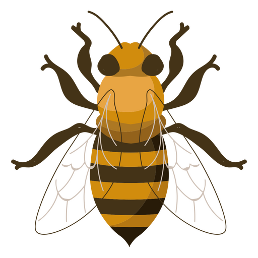 Honey Bee nature icon PNG Design