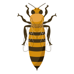 Icono de insecto abeja Diseño PNG