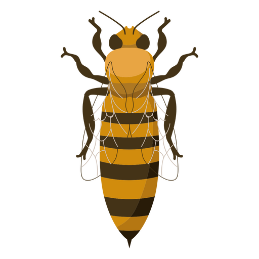 Ícone de inseto de abelha Desenho PNG