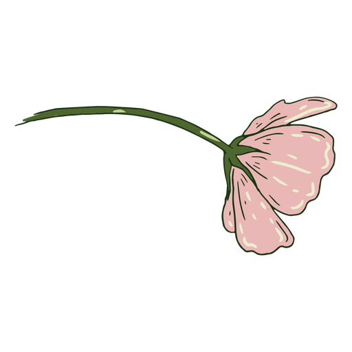 flor rosa brilhante Desenho PNG