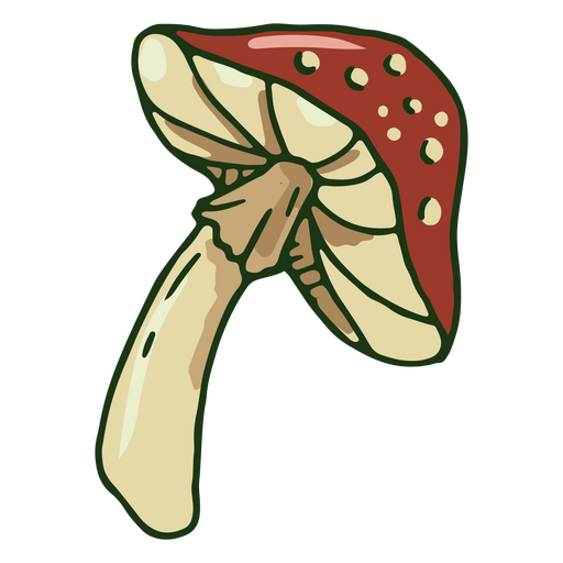 Ilustração de cogumelo vermelho brilhante Desenho PNG