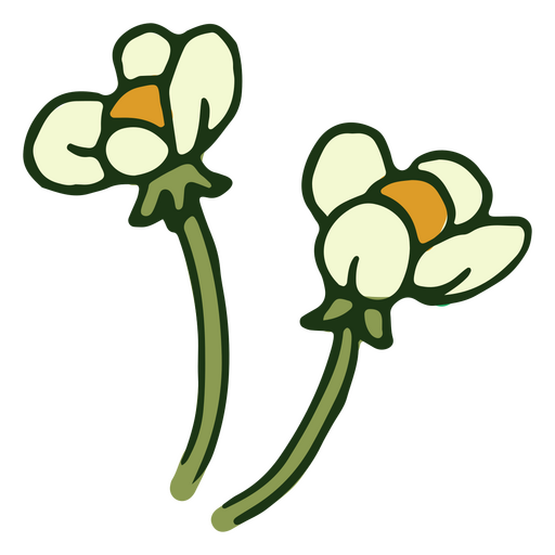 White pair of flowers PNG Design