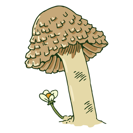 Mushroom with white flower