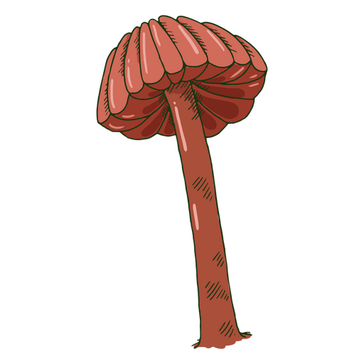 Detailed mushroom icon PNG Design