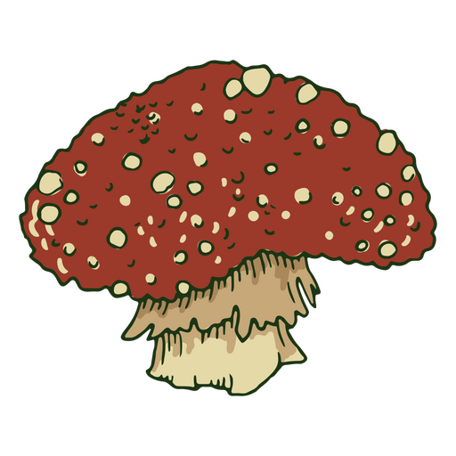Red big mushroom 