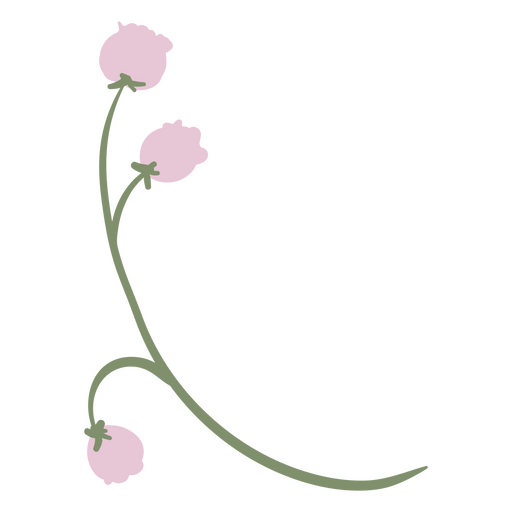 Flowers flat stem