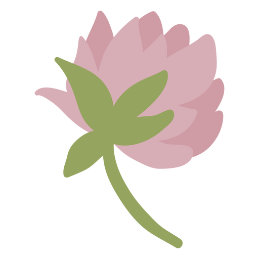 Blume flach zart PNG-Design